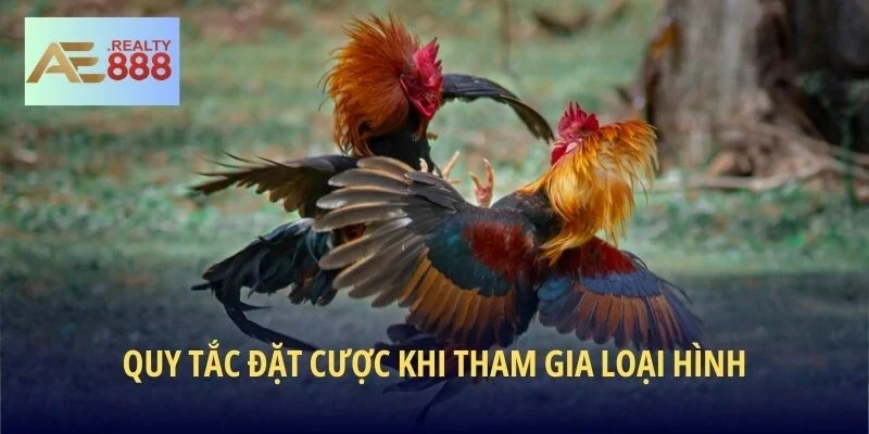 Quy tắc đặt cược khi tham gia loại hình